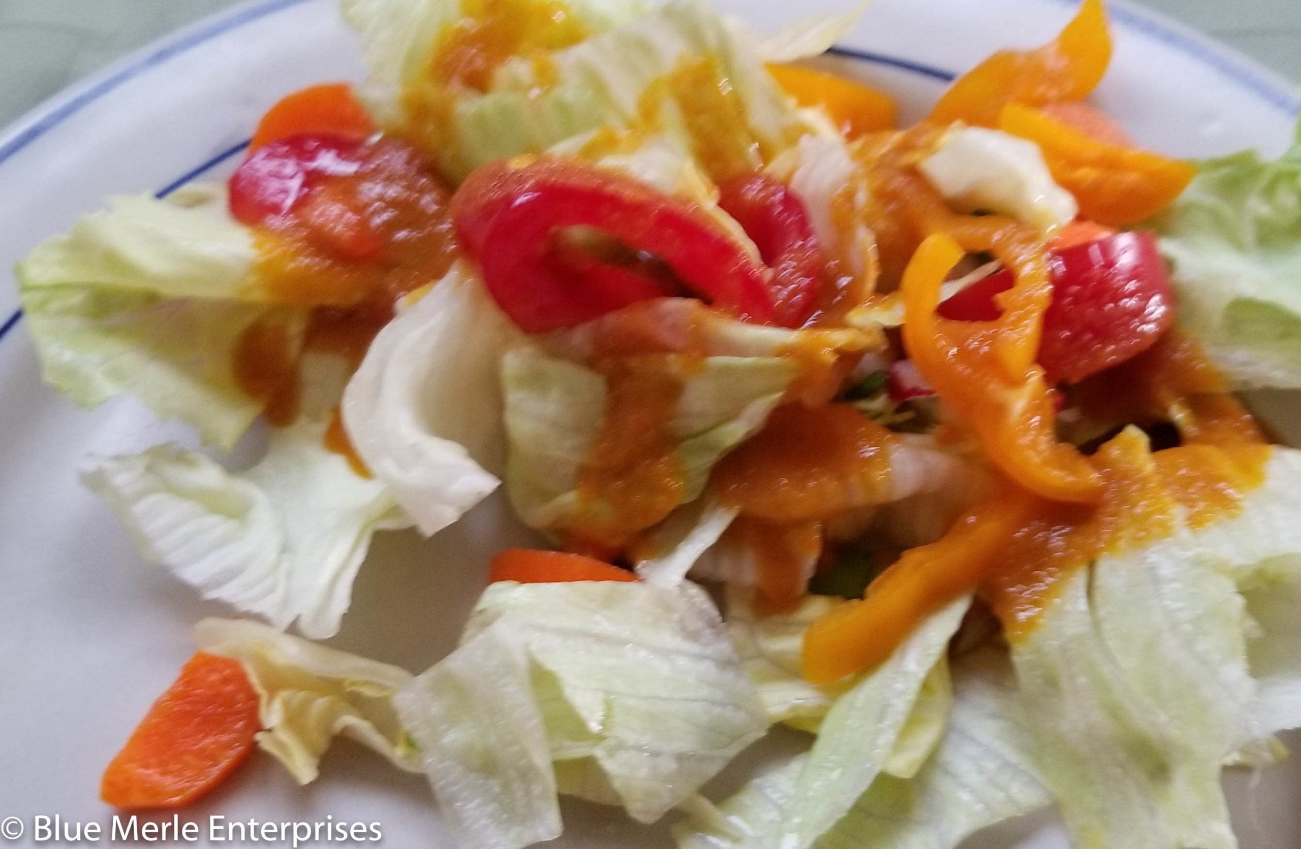 Asian Carrot-Ginger Salad Dressing