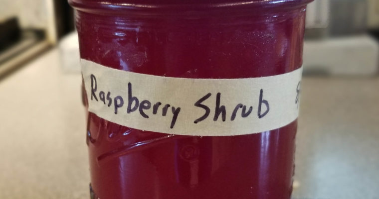 Raspberry Shrub Syrup
