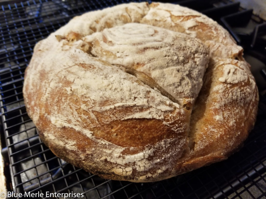 Sourdough Bread Baked on the Grill Kayla's Kitchen