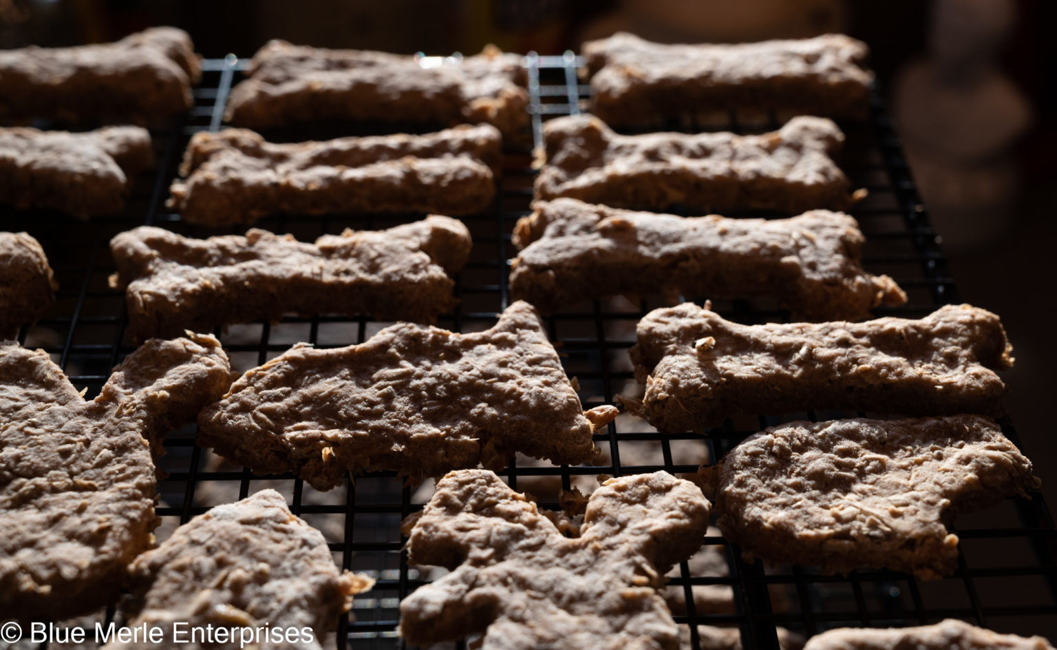 Spent Grain Dog Biscuits Kayla's Kitchen