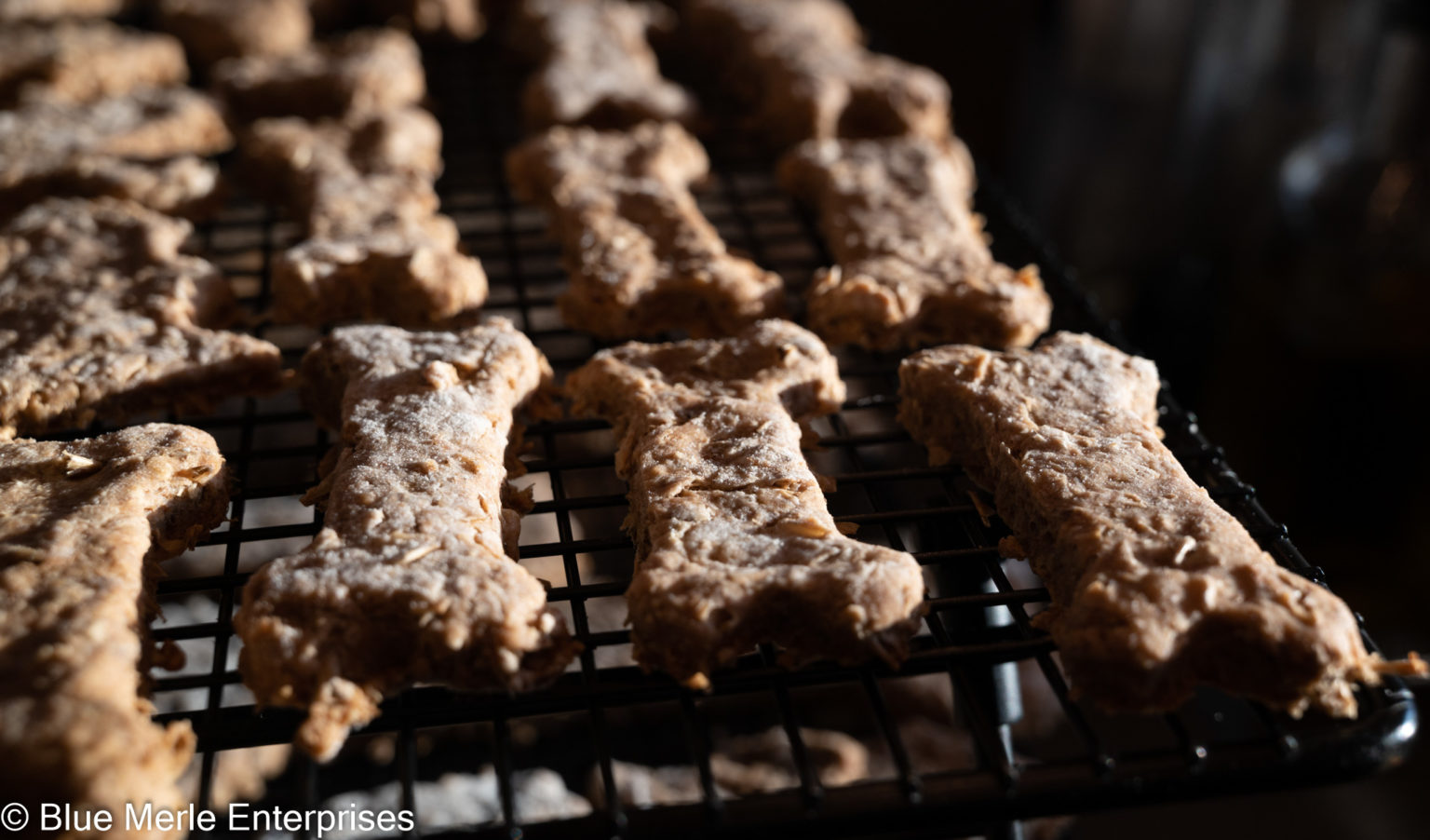 Spent Grain Dog Biscuits Kayla's Kitchen