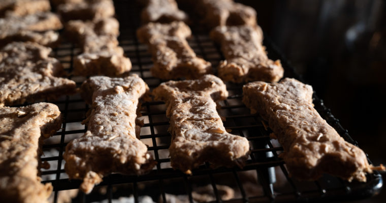 Spent Grain Dog Biscuits