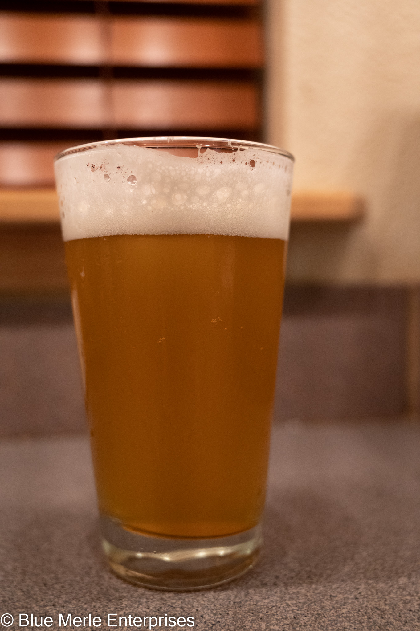 Golden Raspberry Honey Lager