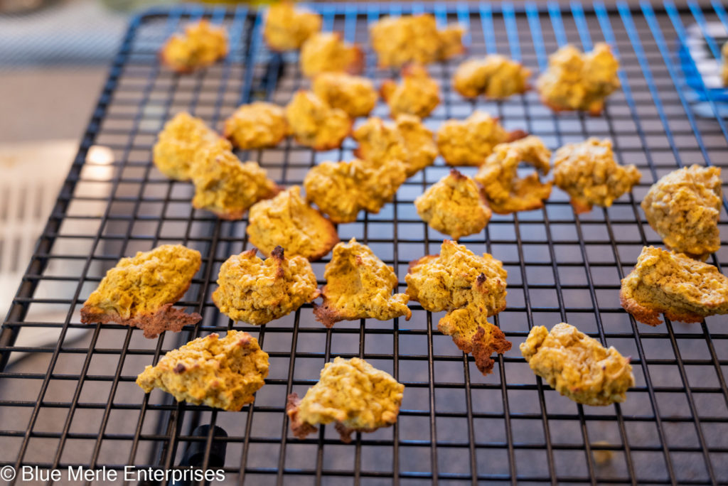 Butternut Squash and Oatmeal Cookies for Dogs Kayla's Kitchen