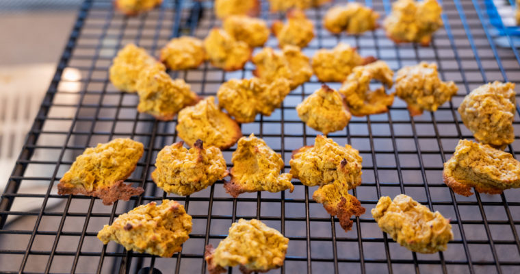 Butternut Squash and Oatmeal Cookies for Dogs