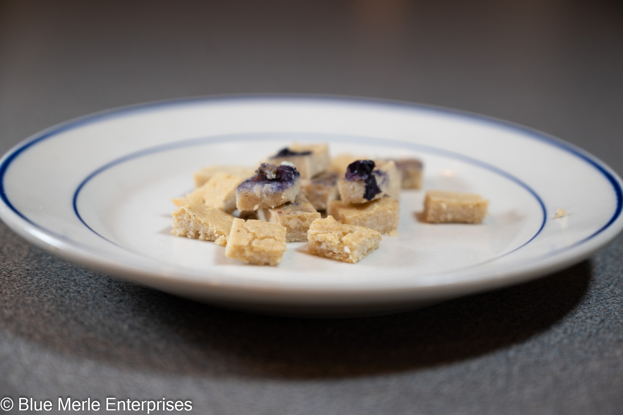 Blueberry Salmon Bites for Dogs